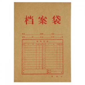 齊心 本色純木漿牛皮紙 豎式檔案袋 A4(10個(gè)/套) AP-117牛皮紙色